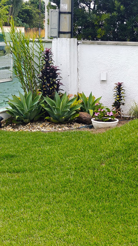 Jardim (frente)